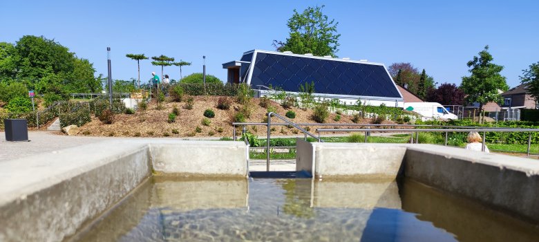 Close-up of the arm pool of the Kneipp facility in the St. Jakob brine garden.